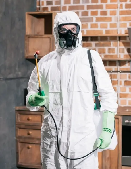 Fumigaciones en Ocotlán